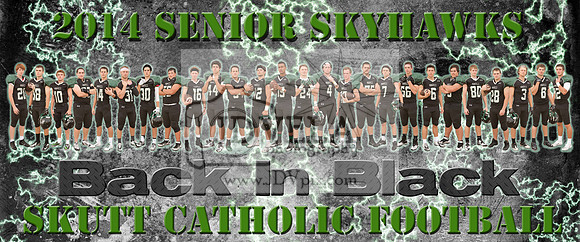 2014_Senior_Poster_Lo_res