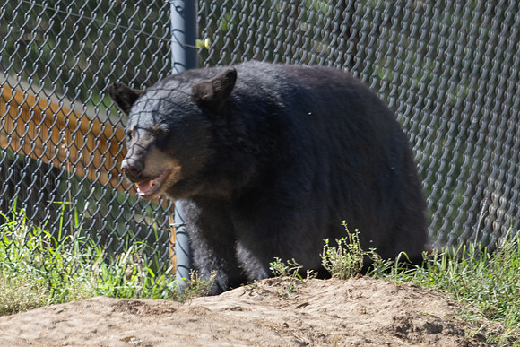 20260829_Safari_Park-24865