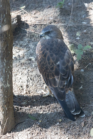 20260829_Safari_Park-24862