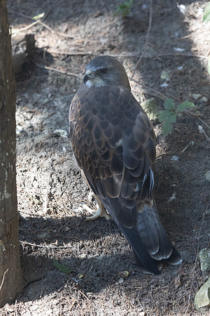 20260829_Safari_Park-24860