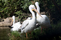 20260829_Safari_Park-24777