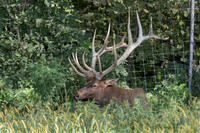 20260829_Safari_Park-24771
