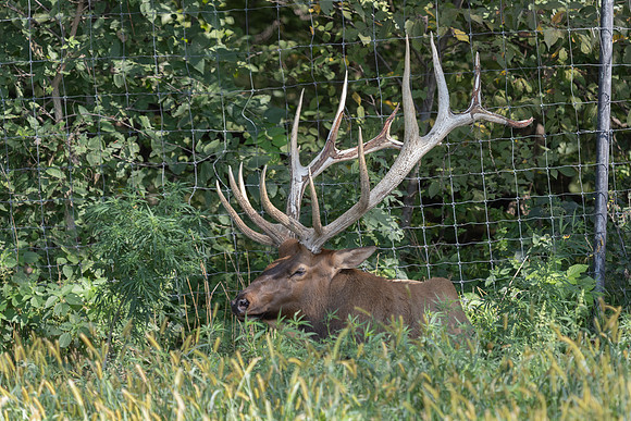 20260829_Safari_Park-24771