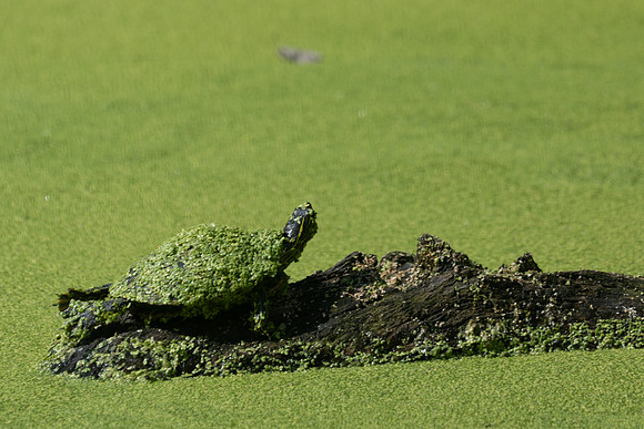 20260829_Safari_Park-24782