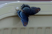 20260829_Safari_Park-24792