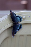 20260829_Safari_Park-24796