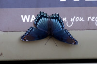 20260829_Safari_Park-24798
