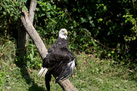 20260829_Safari_Park-24802