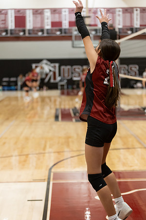 20261025_FtMorgan_Volleyball-26637