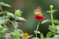 20260926_Lauritzen_Gardens-26060