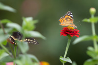 20260926_Lauritzen_Gardens-26061