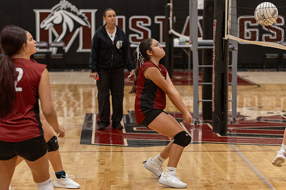 20261025_FtMorgan_Volleyball-26167