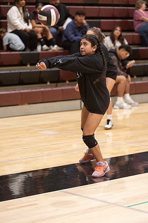 20261025_FtMorgan_Volleyball-26554