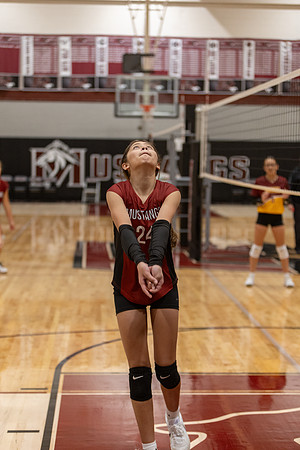 20261025_FtMorgan_Volleyball-26228