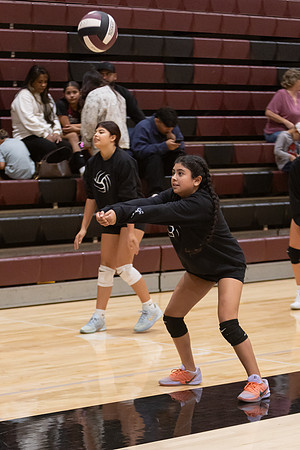 20261025_FtMorgan_Volleyball-26583