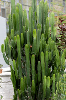 20260926_Lauritzen_Gardens-26042