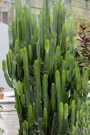 20260926_Lauritzen_Gardens-26042