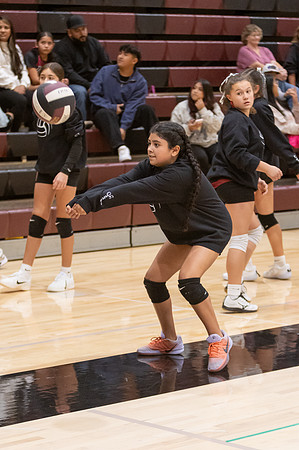 20261025_FtMorgan_Volleyball-26568