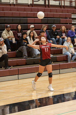 20261025_FtMorgan_Volleyball-26219