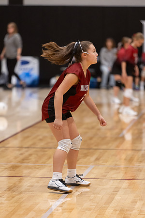 20261025_FtMorgan_Volleyball-26609