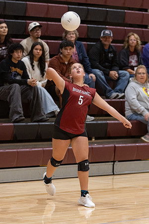 20261025_FtMorgan_Volleyball-26274