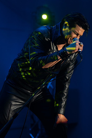 JDV_0784