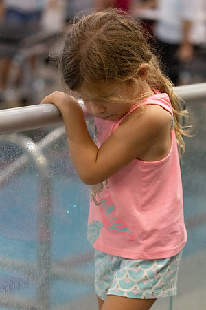 20250721_Tinsley_Swim-18402