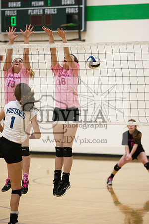 20131017_Hosting_MNHS_012
