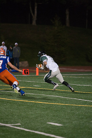 20131025_At_Gross_250