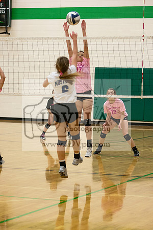 20131017_Hosting_MNHS_051