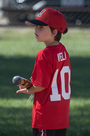 20250510_Dono_TBall-17656