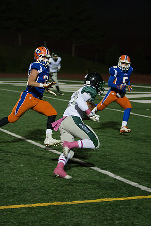 20131025_At_Gross_070