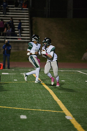 20131025_At_Gross_276