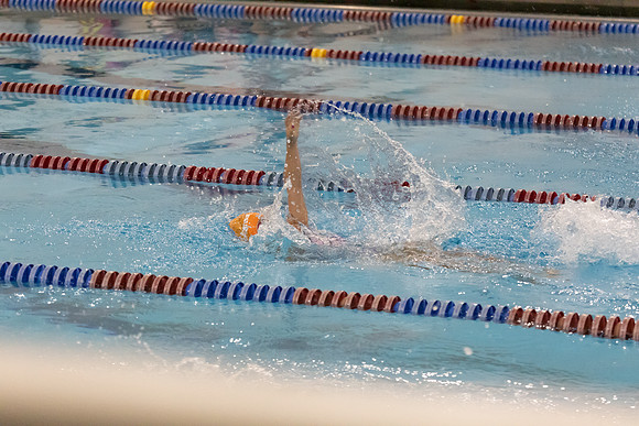 20250721_Tinsley_Swim-18322