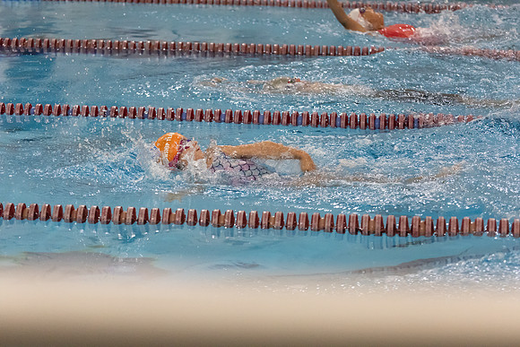 20250721_Tinsley_Swim-18312